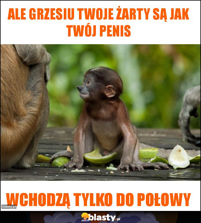 ALE GRZESIU TWOJE ŻARTY SĄ JAK TWÓJ PENIS ALE GRZESIU TWOJE ŻARTY SĄ JAK TWÓJ PENIS