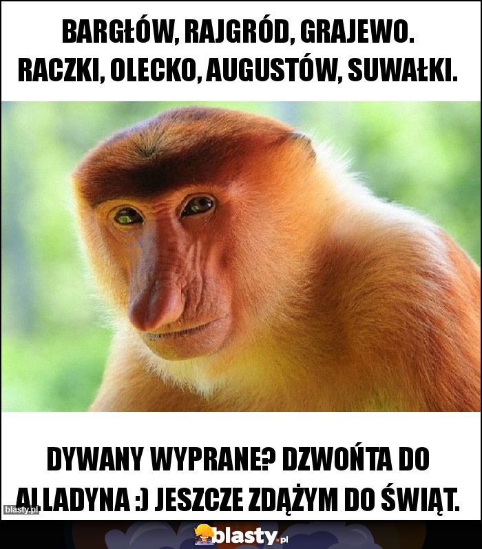 Bargłów, Rajgród, Grajewo. Raczki, Olecko, Augustów, Suwałki. Bargłów, Rajgród, Grajewo. Raczki, Olecko, Augustów, Suwałki.