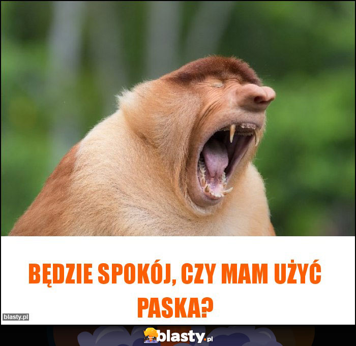 Będzie spokój, czy mam użyć paska?