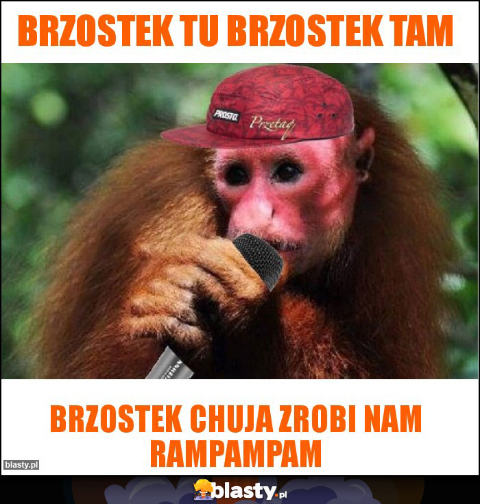 Brzostek tu Brzostek tam Brzostek tu Brzostek tam