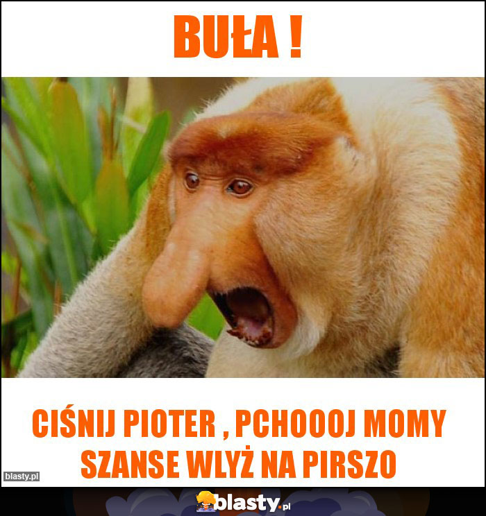 BUŁA !