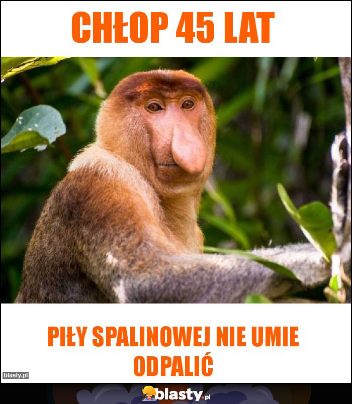Chłop 45 lat Chłop 45 lat
