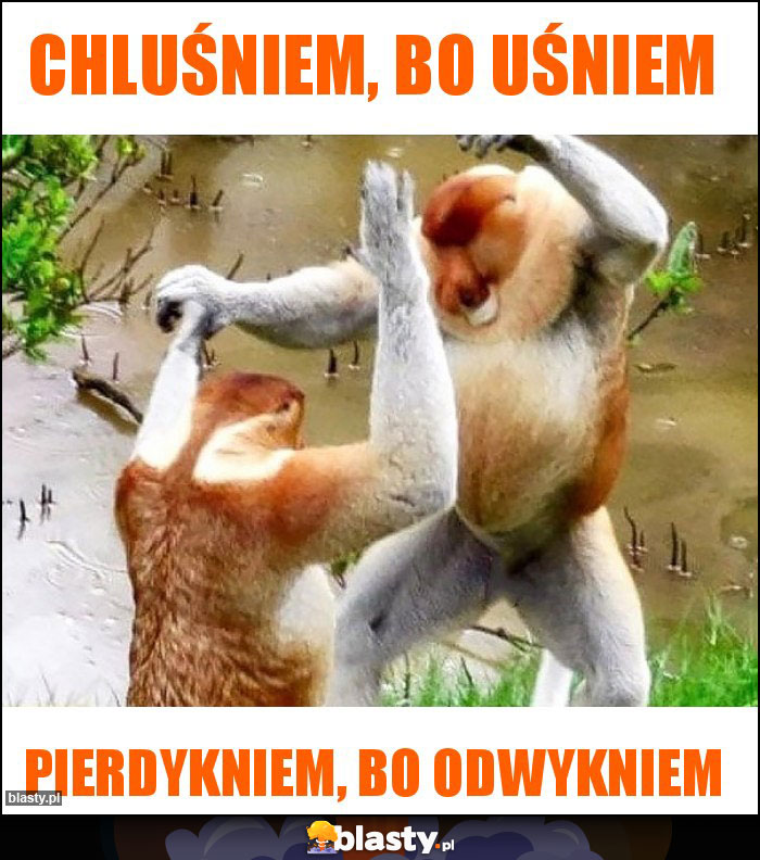 Chluśniem, bo uśniem Chluśniem, bo uśniem