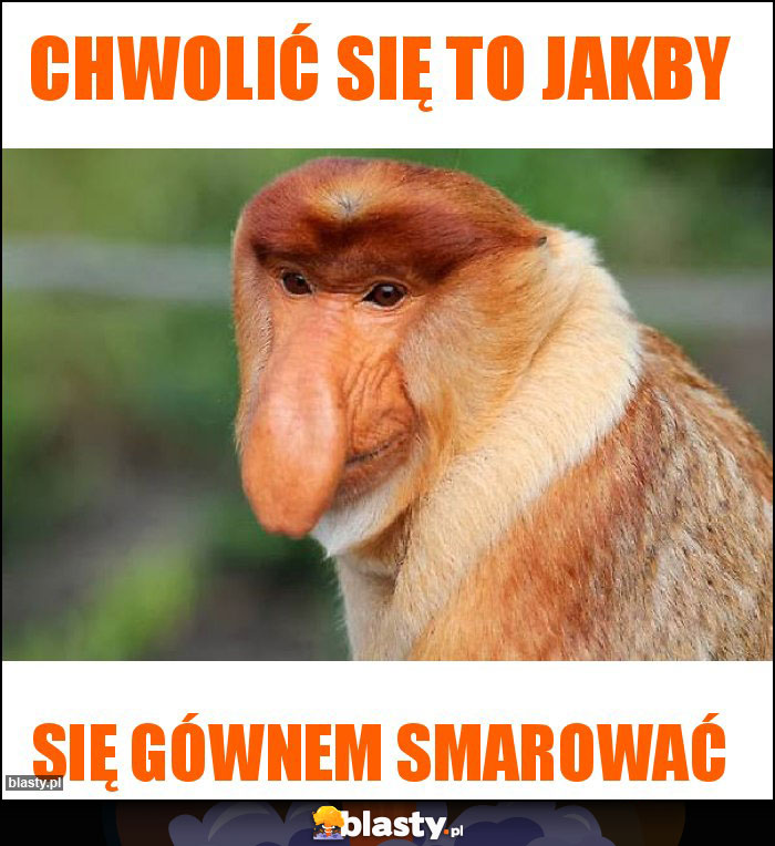 Chwolić się to jakby Chwolić się to jakby