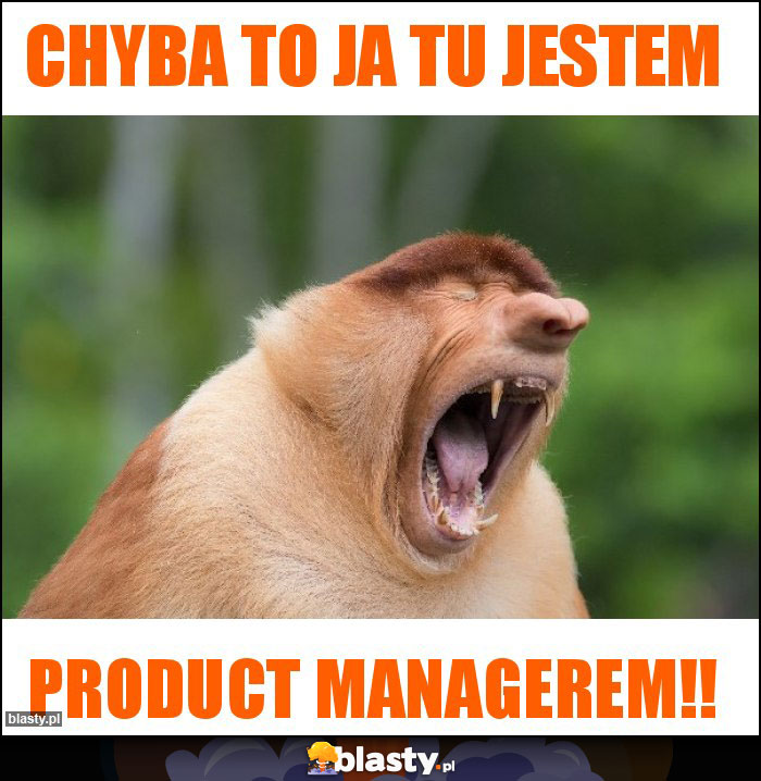 Chyba to ja tu jestem Chyba to ja tu jestem