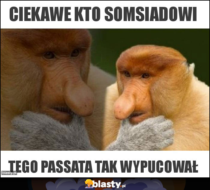 ciekawe kto somsiadowi ciekawe kto somsiadowi