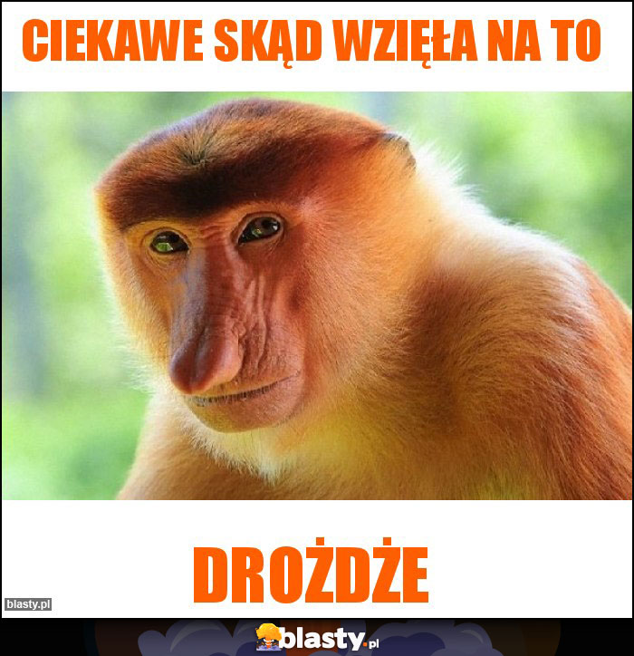 Ciekawe skąd wzięła na to Ciekawe skąd wzięła na to
