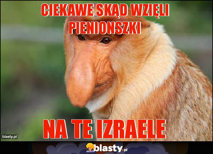 ciekawe skąd wzięli pienionszki ciekawe skąd wzięli pienionszki