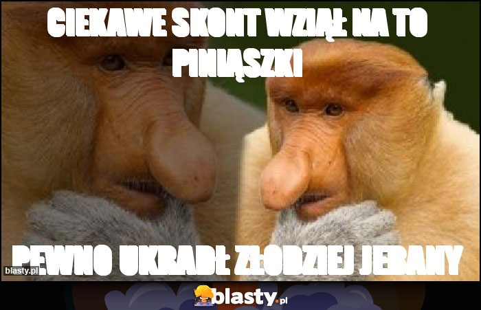 Ciekawe skont wziął na to piniąszki Ciekawe skont wziął na to piniąszki