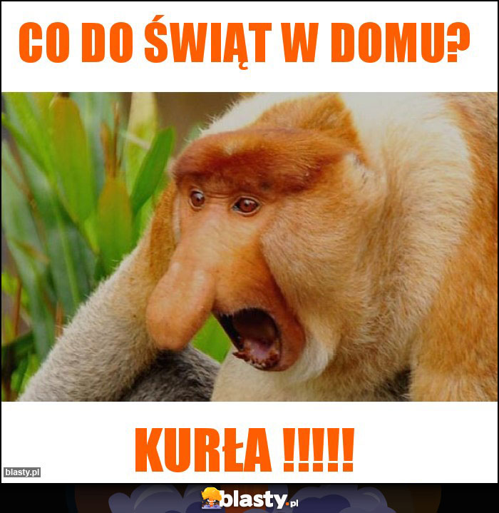 Co do świąt w domu? Co do świąt w domu?