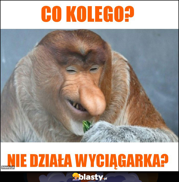 Co kolego? Co kolego?
