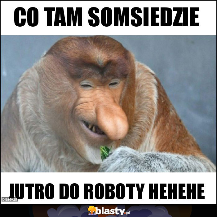 Co tam somsiedzie Co tam somsiedzie