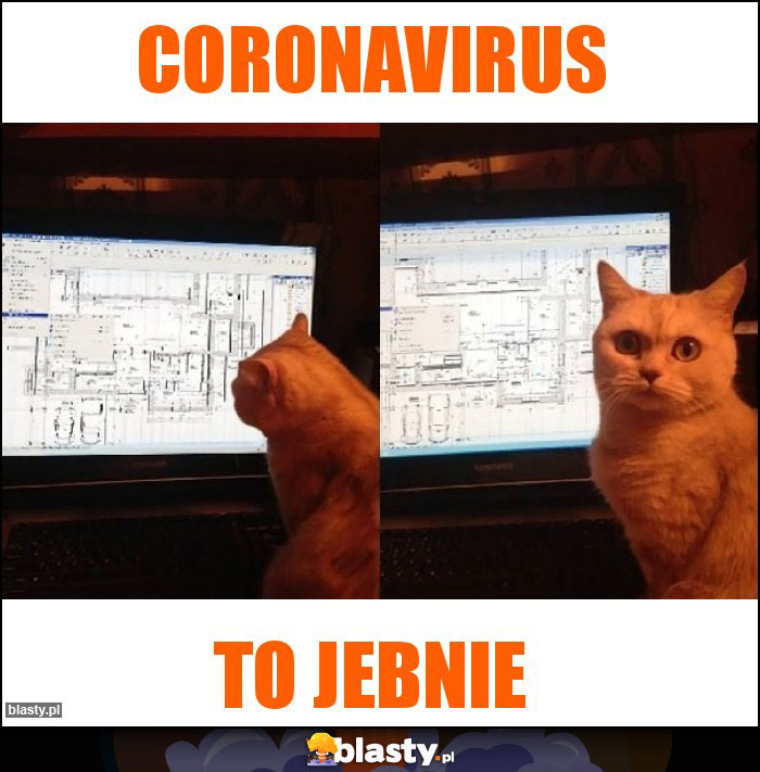 Coronavirus Coronavirus