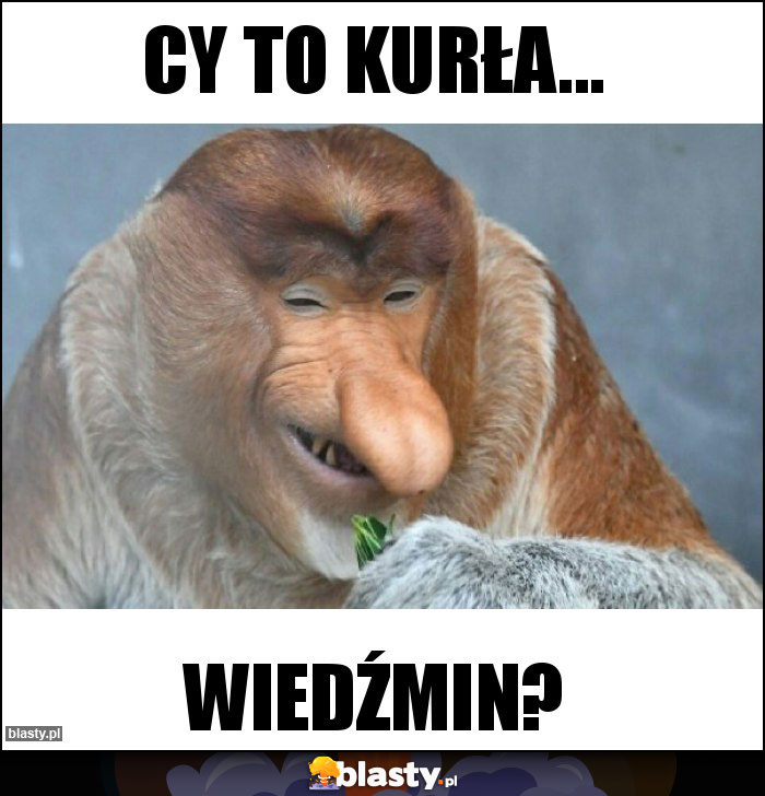 CY TO KURŁA...