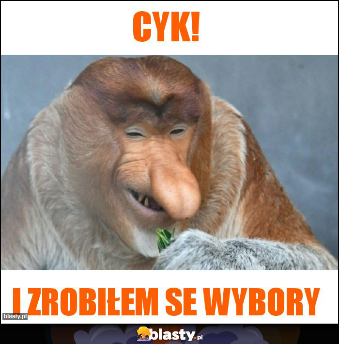 cyk!