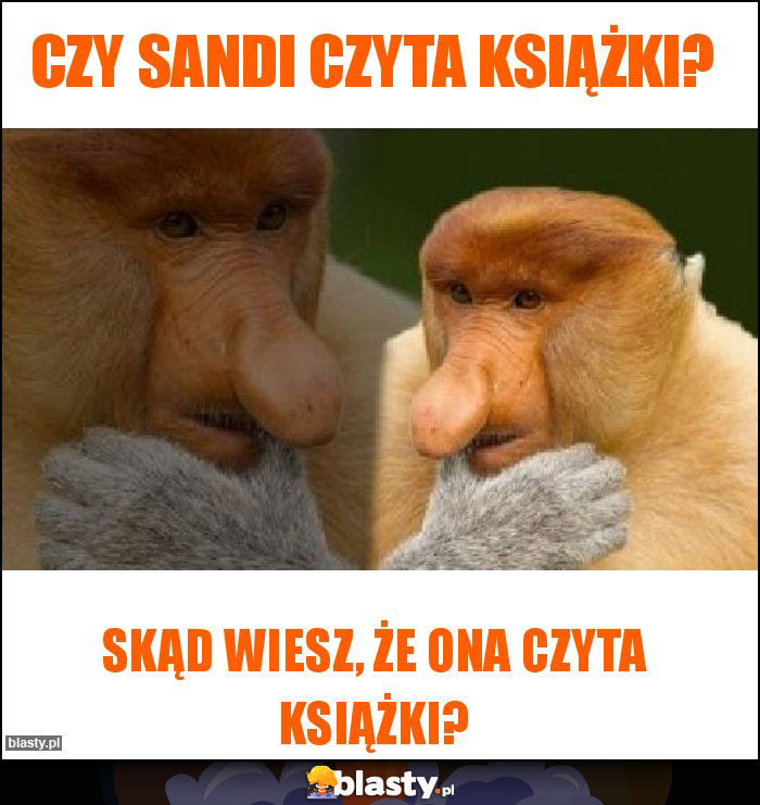 Czy Sandi czyta książki? Czy Sandi czyta książki?