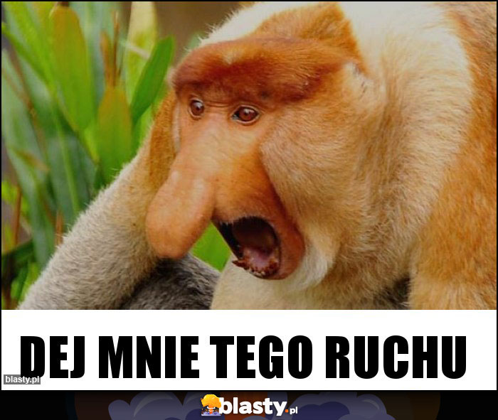 DEJ MNIE TEGO RUCHU DEJ MNIE TEGO RUCHU