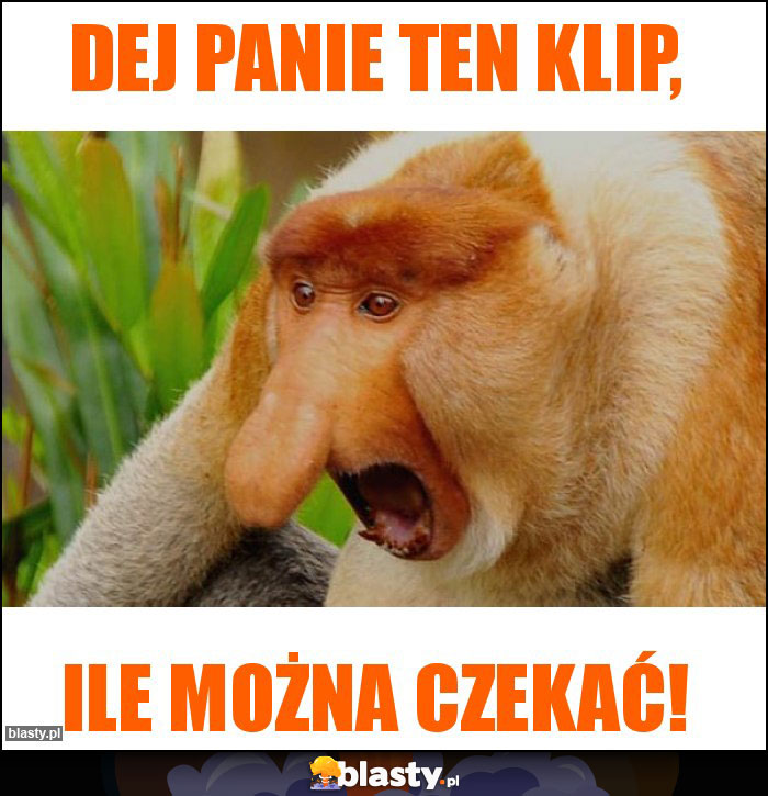 Dej panie ten klip, Dej panie ten klip,