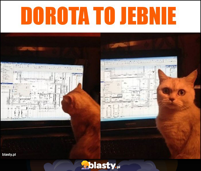 Dorota to jebnie Dorota to jebnie