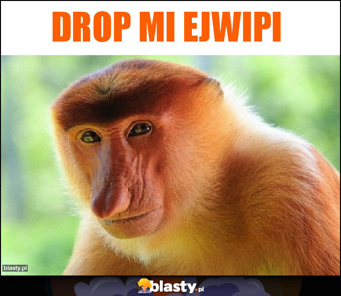 Drop mi EJWIPI