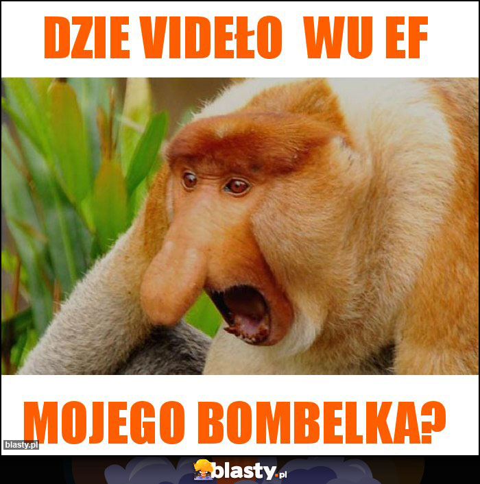 Dzie videło wu ef Dzie videło wu ef