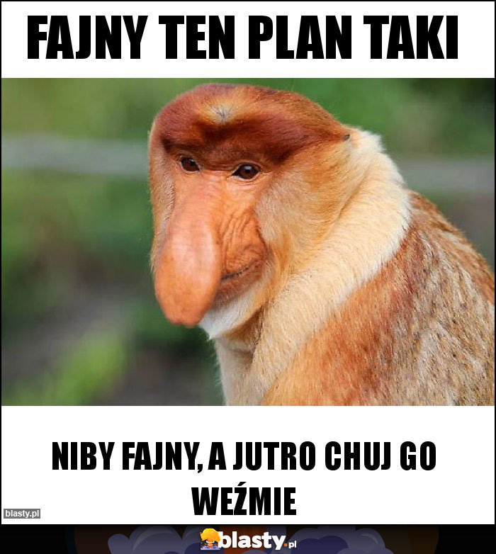 Fajny ten plan taki Fajny ten plan taki