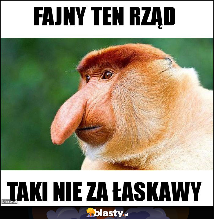 FAJNY TEN RZĄD FAJNY TEN RZĄD