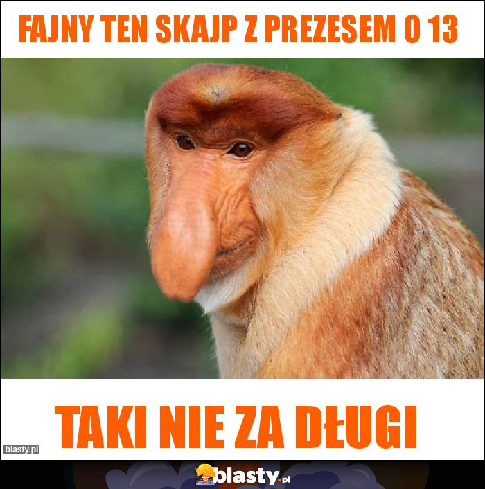 fajny ten skajp z prezesem o 13 fajny ten skajp z prezesem o 13