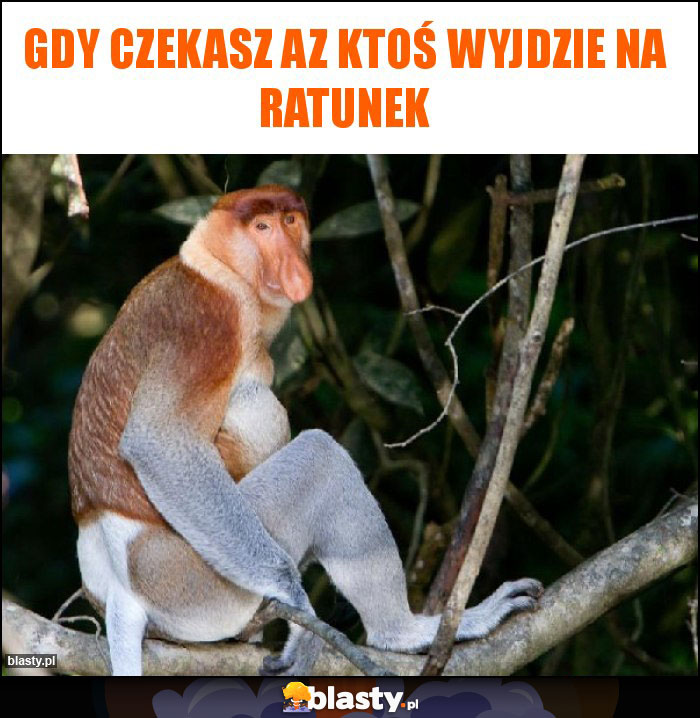 Gdy czekasz az ktoś wyjdzie na ratunek Gdy czekasz az ktoś wyjdzie na ratunek