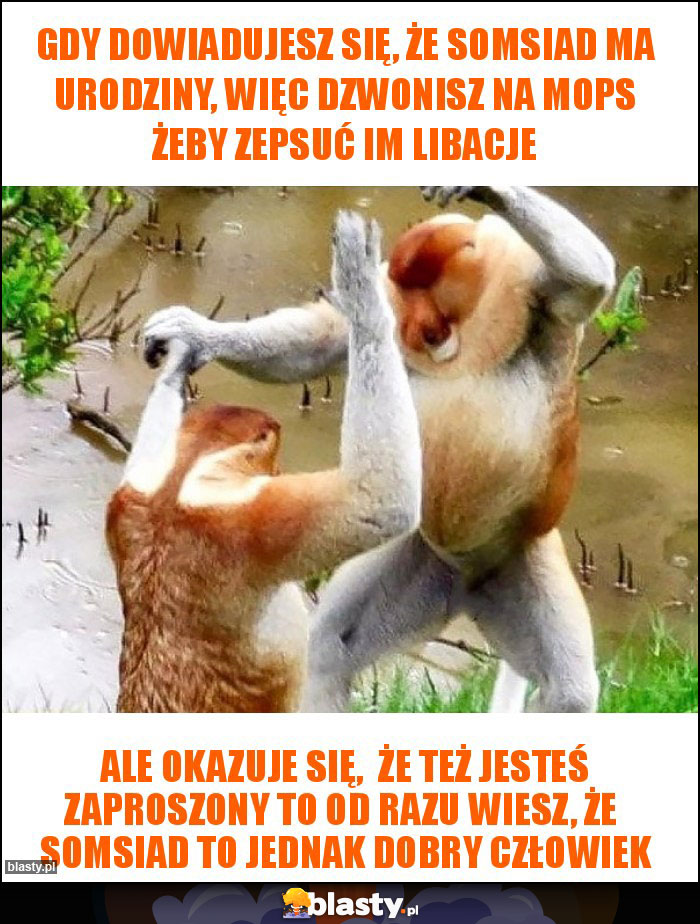 Gdy dowiadujesz się, że somsiad ma urodziny, więc dzwonisz na MOPS żeby zepsuć im libacje Gdy dowiadujesz się, że somsiad ma urodziny, więc dzwonisz na MOPS żeby zepsuć im libacje