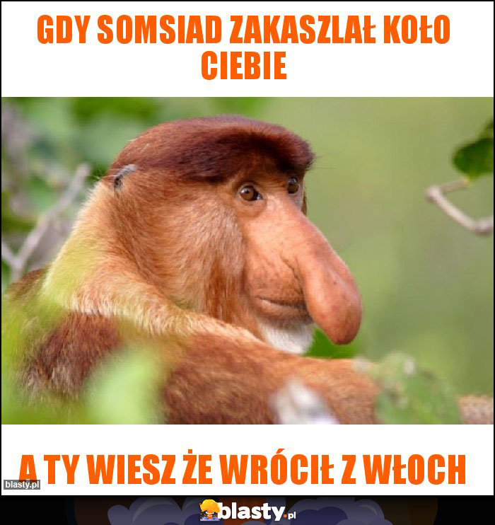 Gdy somsiad zakaszlał koło ciebie Gdy somsiad zakaszlał koło ciebie