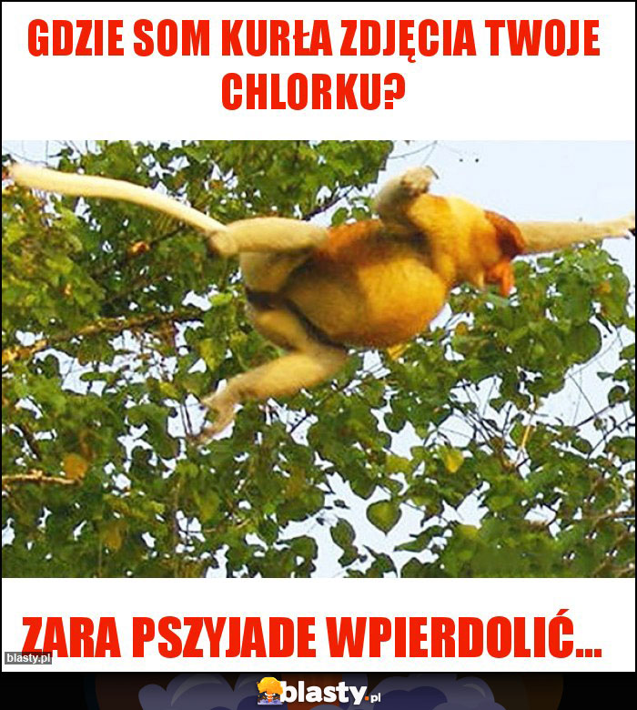 Gdzie som kurła zdjęcia twoje chlorku? Gdzie som kurła zdjęcia twoje chlorku?