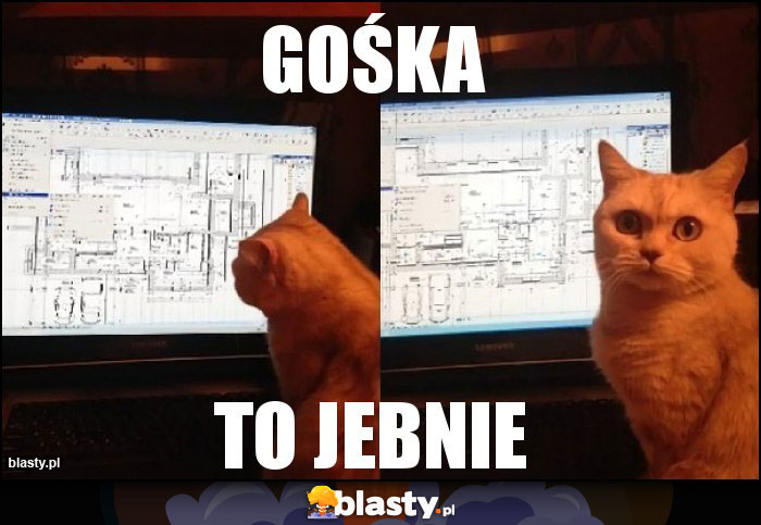 gośka