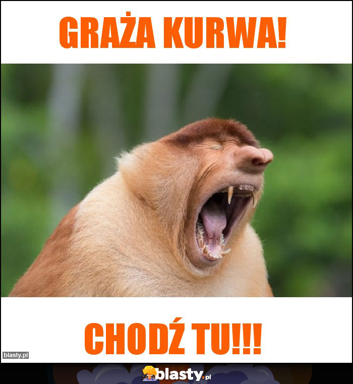Graża Kurwa! Graża Kurwa!