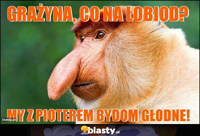 Grażyna, co na łobiod? Grażyna, co na łobiod?