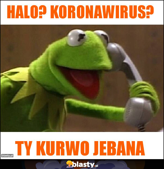 Halo? Koronawirus? Halo? Koronawirus?