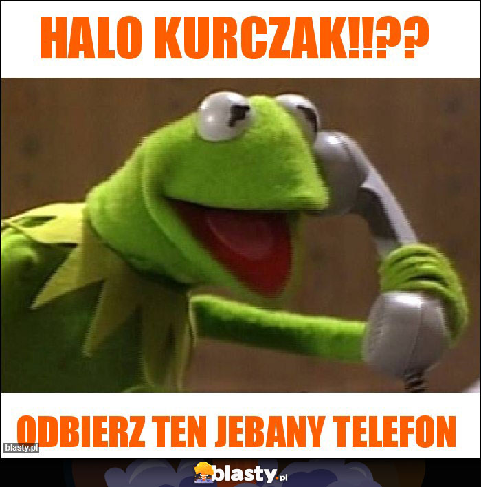 Halo kurczak!!?? Halo kurczak!!??