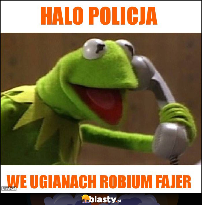 Halo policja Halo policja