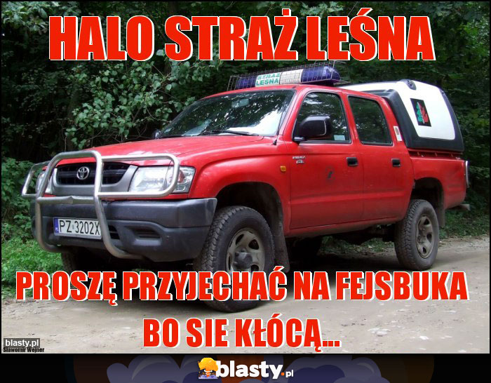 HALO STRAŻ LEŚNA HALO STRAŻ LEŚNA