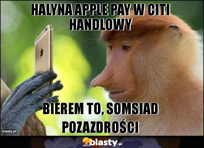 HALYNA APPLE PAY W CITI HANDLOWY HALYNA APPLE PAY W CITI HANDLOWY