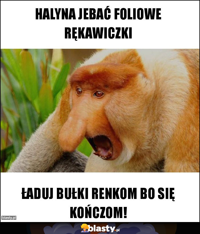 Halyna jebać foliowe rękawiczki