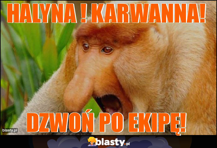 Halyna ! Karwanna!