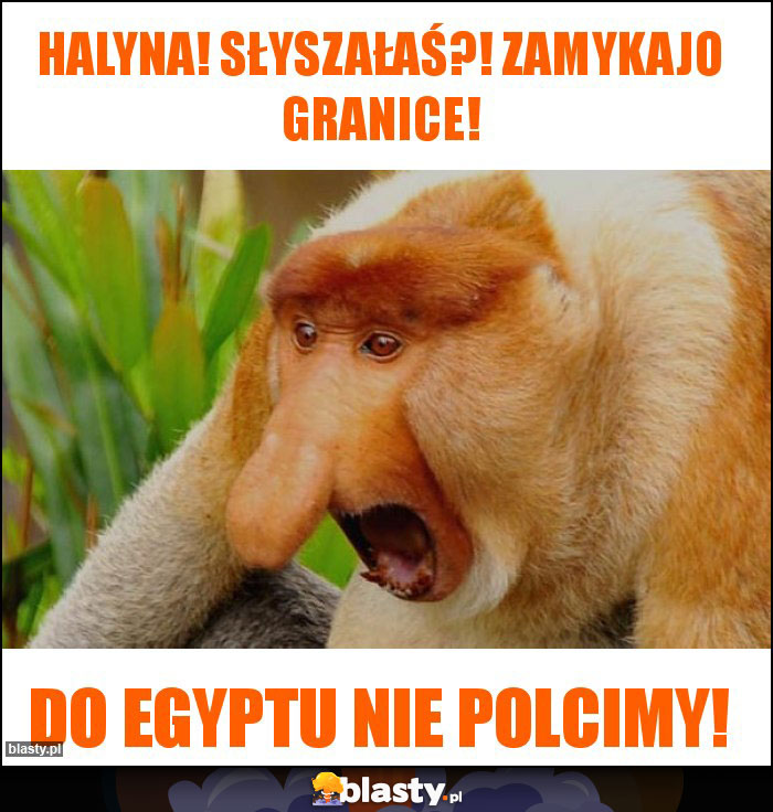 HAlyna! Słyszałaś?! Zamykajo granice!