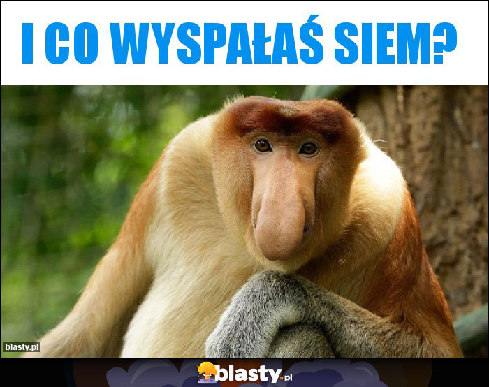I co wyspałaś siem? I co wyspałaś siem?