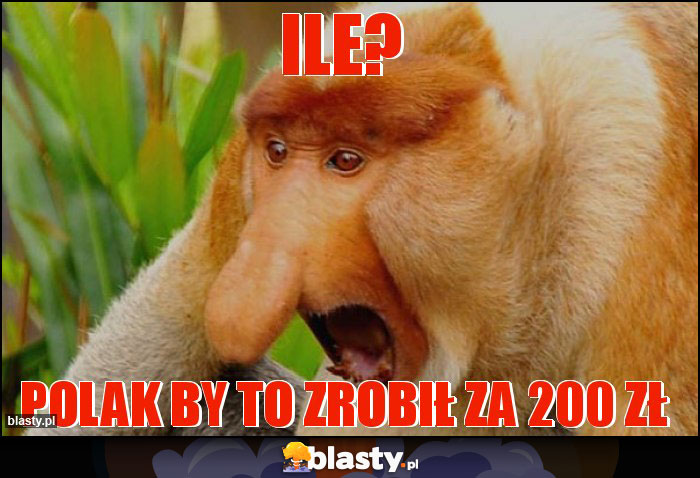 Ile?