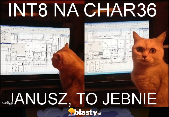 int8 na char36 int8 na char36