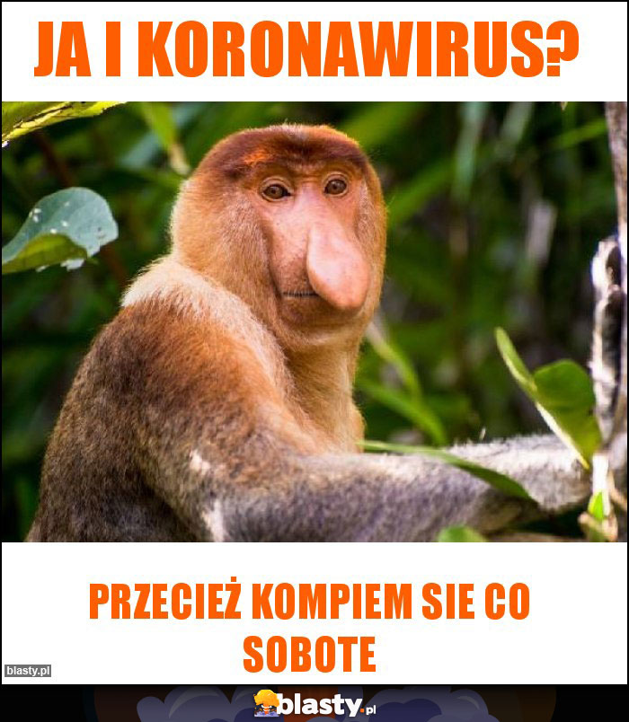 Ja i Koronawirus? Ja i Koronawirus?