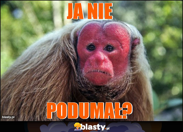 Ja nie