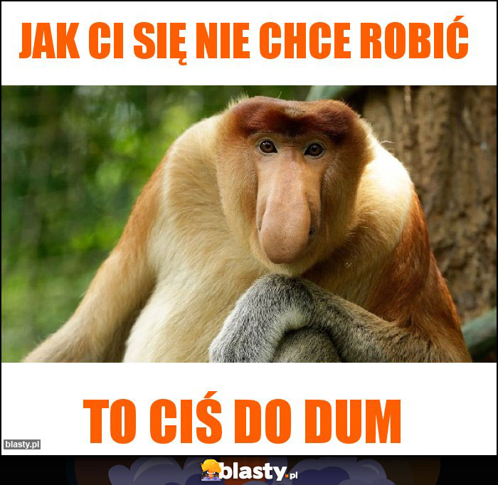 Jak ci się nie chce robić Jak ci się nie chce robić