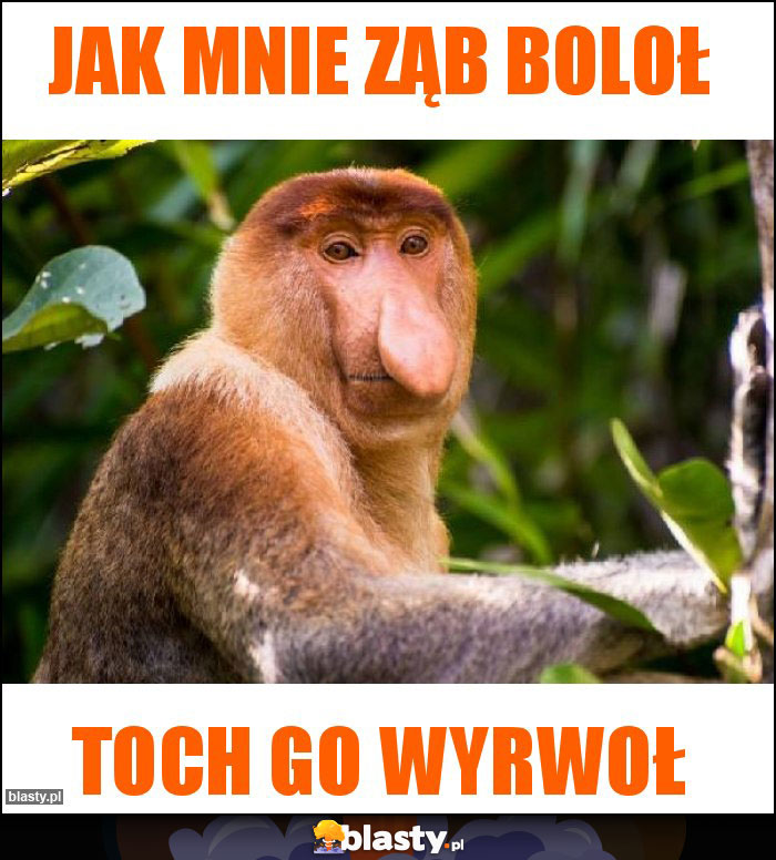 Jak mnie ząb boloł